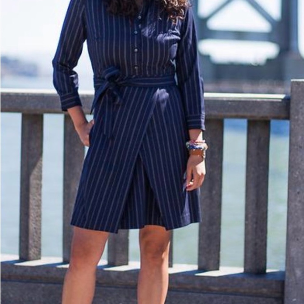 Banana Republic Navy Pinstripe Long Sleeve Dress
